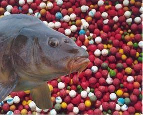 sa trecem la treaba - f50901503-6b367519.jpeg